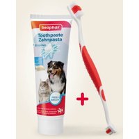 Beaphar Zahnpasta & Zahnbürste