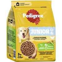 Pedigree Junior mit Geflügel und Gemüse 3kg