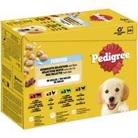 Pedigree Nassfutter Hund Junior, Multipack, Gemischte Selektion, in Gelee 12x100 g