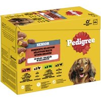 Pedigree Nassfutter Hund Senior, Multipack, Gemischte-Selektion, in Gelee 12x100 g