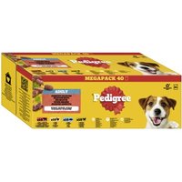Pedigree Nassfutter Hund Adult, Multipack, Gemischte-Selektion, in Gelee 40x100 g