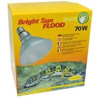 Lucky Reptile Bright Sun FLOOD Desert 70 W