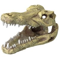 Europet Bernina Krokodil Schädel