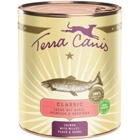 Terra Canis Nassfutter Hund Classic Adult Lachs 6x800 g