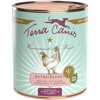Terra Canis Getreidefrei Adult 6x800g Huhn mit Pastinaken, Brombeeren und Löwenzahn