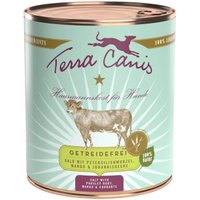 Terra Canis Getreidefrei Adult 6x800g Kalb mit Petersilienwurzel, Mango und Johannisbeere