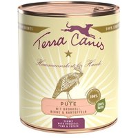 Terra Canis Classic Adult 6x800g Pute mit Brokkoli, Birne und Kartoffel