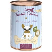 Terra Canis Welpe 6x400g Lamm mit Zucchini, Fenchel und Magerjoghurt