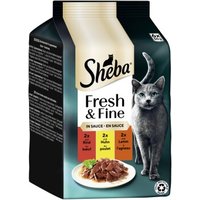 Sheba Fresh & Fine Nassfutter Katze Adult, Multipack, in Sauce 36x50 g Rind, Huhn und Lamm