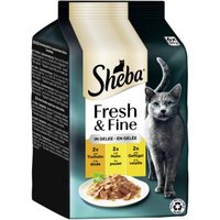 Sheba Fresh & Fine Nassfutter Katze Adult, Multipack, in Gelee 36x50 g Truthahn, Huhn und Geflügel
