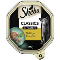 Sheba Classics in Pastete 22x85g Geflügel Cocktail