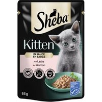 Sheba Kitten in Sauce 28x85 g Lachs