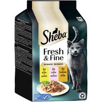Sheba Fresh & Fine Nassfutter Katze Adult, Multipack, in Sauce 36x50 g Huhn, Lachs und Truthahn