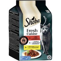 Sheba Fresh Cuisine Nassfutter Katze Adult, Multipack 36x50 g Taste of Paris