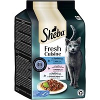Sheba Fresh Cuisine Nassfutter Katze Adult, Multipack 36x50 g Taste of Tokio