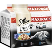 Sheba Multipack Fresh & Fine in Sauce 15 x 50g Mix-Pack