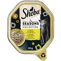 Sheba Seasons Collection wechselnde Sorten 22x85 g