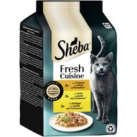Sheba Fresh Cuisine Nassfutter Katze Adult, Multipack 36x50 g Taste of Rome