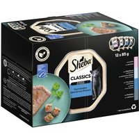 Sheba Classics in Pastete 12x85g