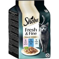 Sheba Fresh & Fine Nassfutter Katze Adult, Multipack, in Sauce 36x50 g Lachs, Thunfisch und Forelle