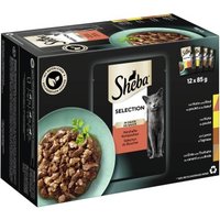 Sheba Selection in Sauce 12x85g Herzhafte Komposition