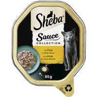 Sheba Sauce Collection 22 x 85 g Pute, in heller Sauce