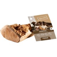 Chewies Kauwurzel M