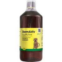 cdVet DarmAktiv Hund & Katze 1 l