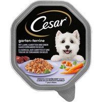Cesar Garten-Terrine 14x150g Lamm, Karotten und Koriander
