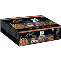 Cesar NATURAL GOODNESS Mega-Pack Casserole in Sauce 4 Varietäten 24 x 100g