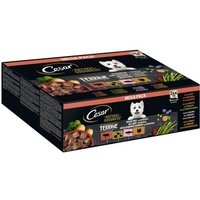 Cesar NATURAL GOODNESS Mega-Pack Terrine 4 Varietäten 24 x 100g