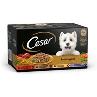 Cesar Landküche in Sauce 8x150g