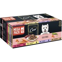 Cesar Mega Pack Portionsbeutel Selektion in Sauce 4 Varietäten 40x100g