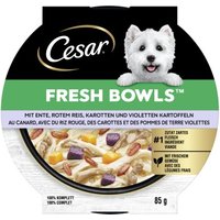 Cesar Nassfutter Hund, Adult, Fresh Bowls, in Sauce, Ente 10x85 g