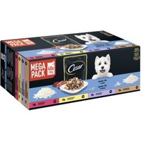 Cesar Mega Pack Portionsbeutel Senior 10+ in Gelee 4 Varietäten 40x100g