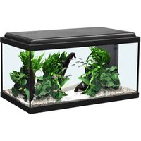 Aquatlantis Aquarienset LED schwarz