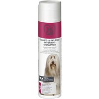 TAKE CARE Glanz- und Pflege-Intensiv-Shampoo 250ml