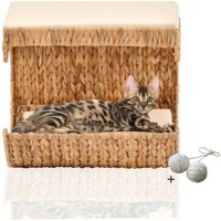 Rohrschneider ® Katzen Liegemulde Cäsar für Wandmontage, Kletterwand-Element mit Gratis-Spielballset