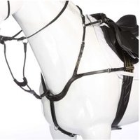 Kavalkade Vorderzeug Caya