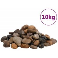 VidaXL Polierte Kiesel Mehrfarbig