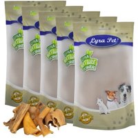 Lyra Pet Rinderkopfhaut Stücke 4 - 8 cm 5 kg