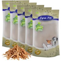 Lyra Pet Kleine Fische 5 kg