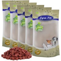 Lyra Pet Pferdefleischwürfel 5 kg