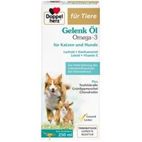 Doppelherz Gelenk Öl Omega-3 250 ml