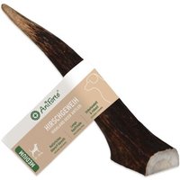 AniForte Hochland Hirschgeweih Medium