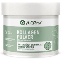 AniForte Kollagen CollaMove Kollagen 250 g