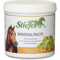 Stiefel Mineral-Paste 850 g