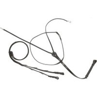 Kavalkade Thiedemannzügel