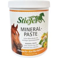 Stiefel Mineral-Paste 2 kg