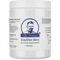 Dr. Hölter DiarDoc Akut Pulver 125 g